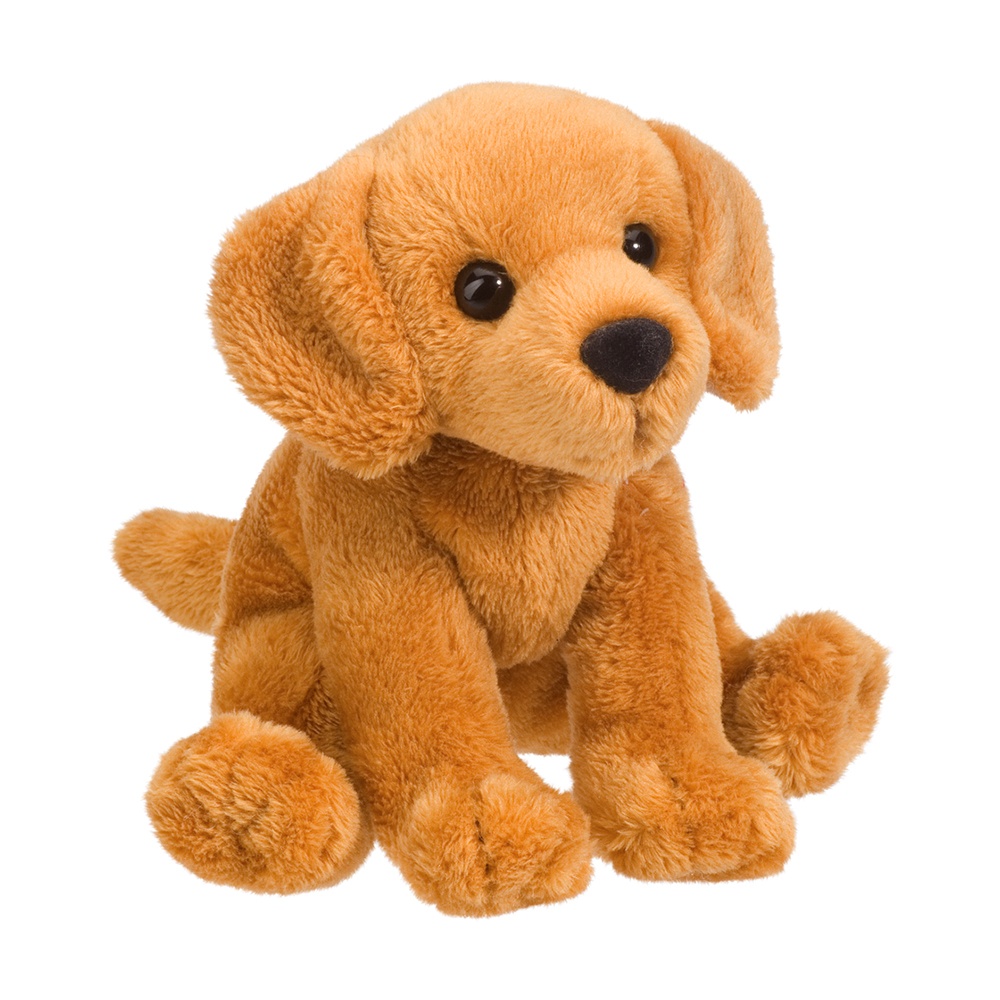1555.jpg Gracie Golden Retriever - Image 1