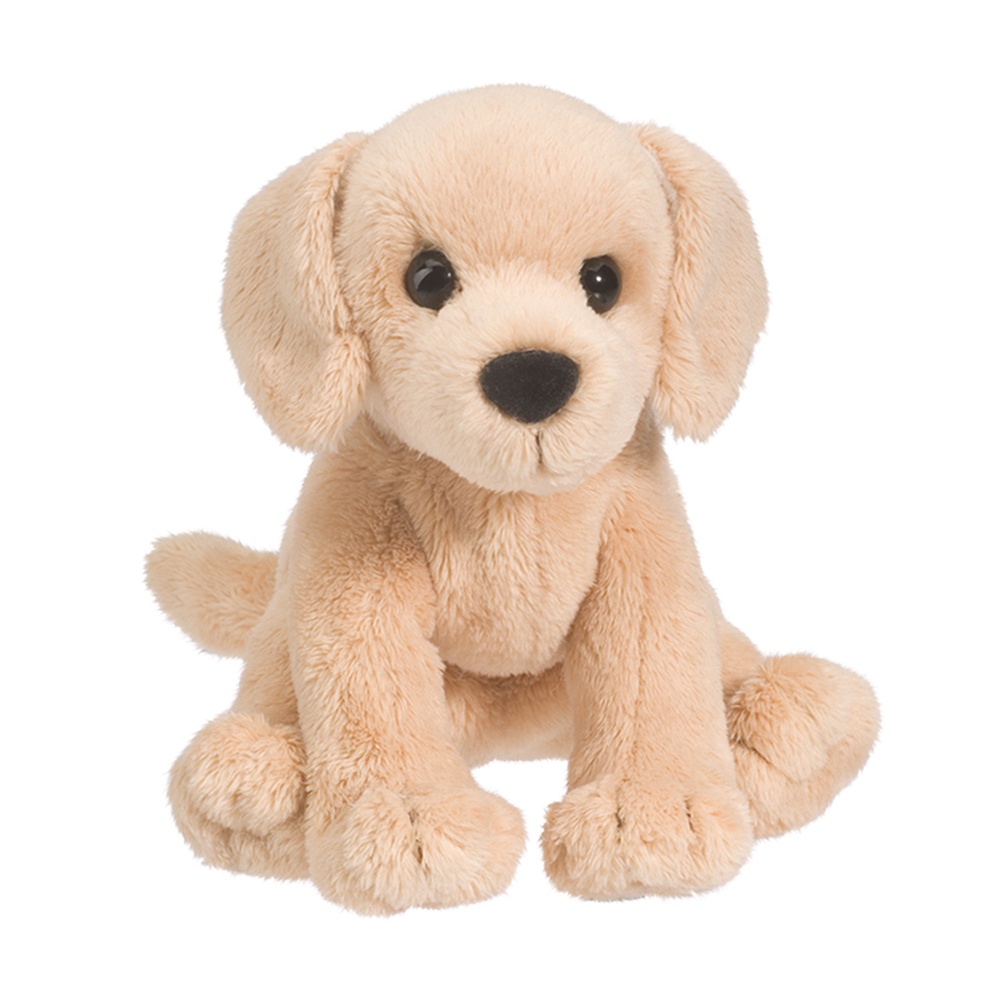 1557.jpg Butter Yellow Lab - Image 1