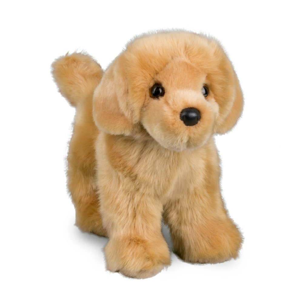 1724-1.jpg Chap Golden Retriever - Image 1