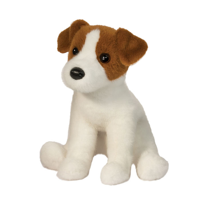 19261.jpg Fiona Jack Russell Terrier - Image 1