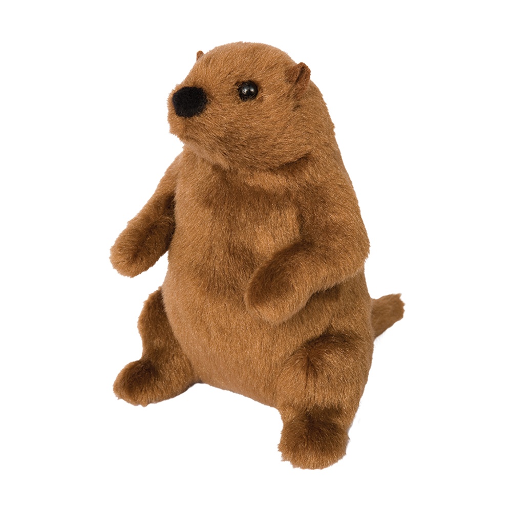 4074.jpg Mr. G Groundhog - Image 1