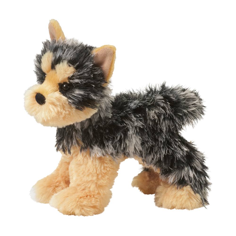 4087.jpg Yonkers Yorkie - Image 1