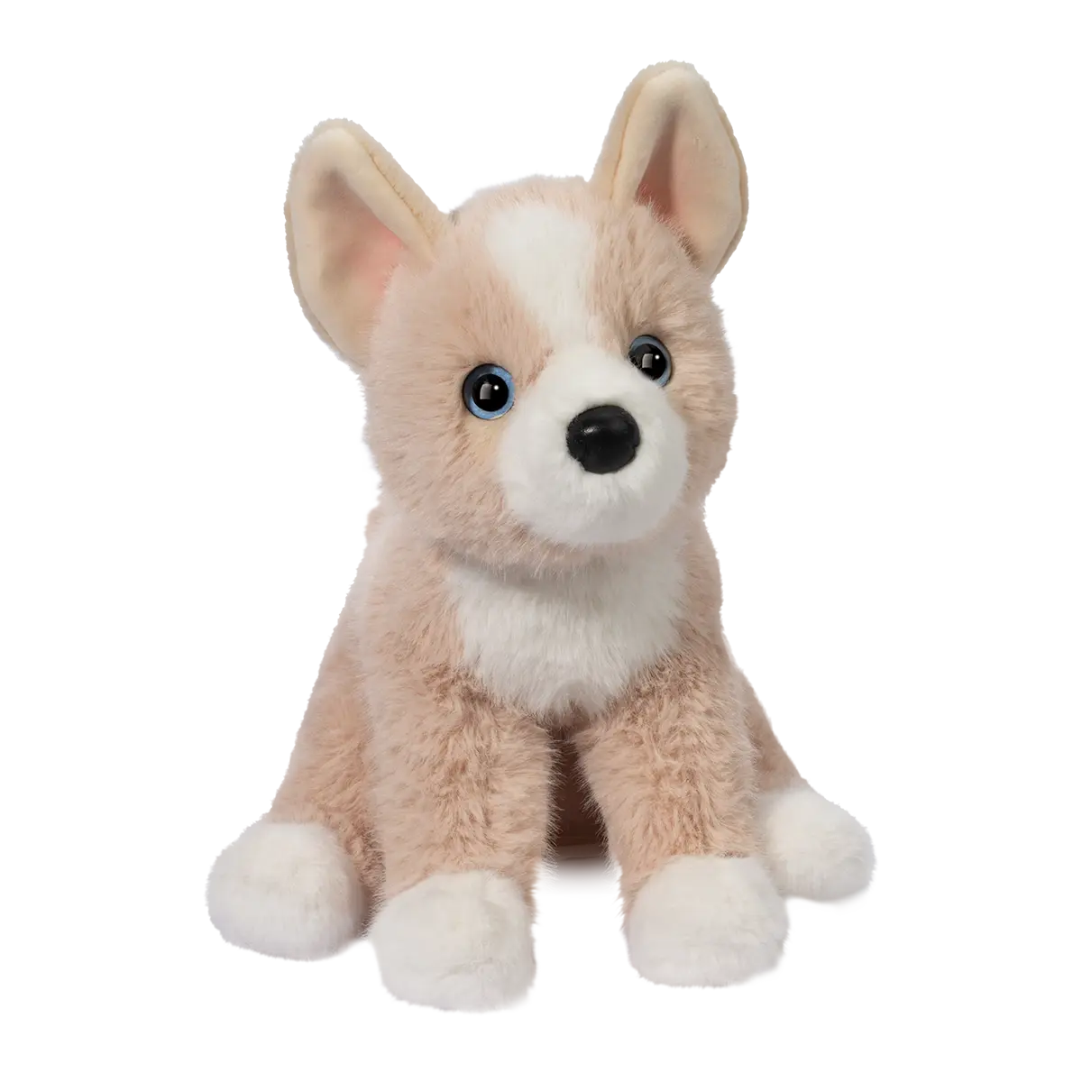 4587.webp Pookie Pomsky Soft - Image 1